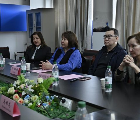 3___1777373431.2008984